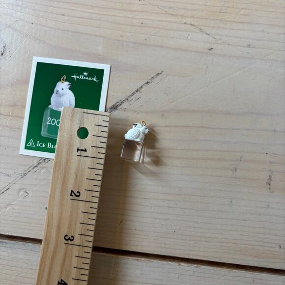 Hallmark Keepsake Ornament NIB Ice Block Buddies 2005 Minature Collectors Series - Picture 5 of 11